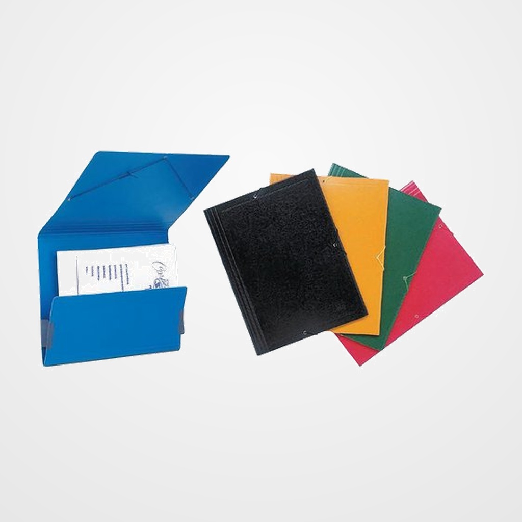 CARPETA de GOMAS sin solapas SARO CARTON Nº10 GOFRADO BRILLO Fº VERDE