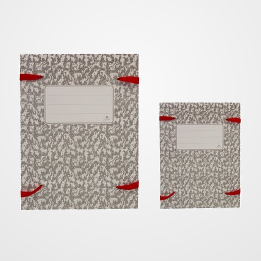 CARPETA de LEGAJOS MARIOLA CARTON Fº  JASPEADO