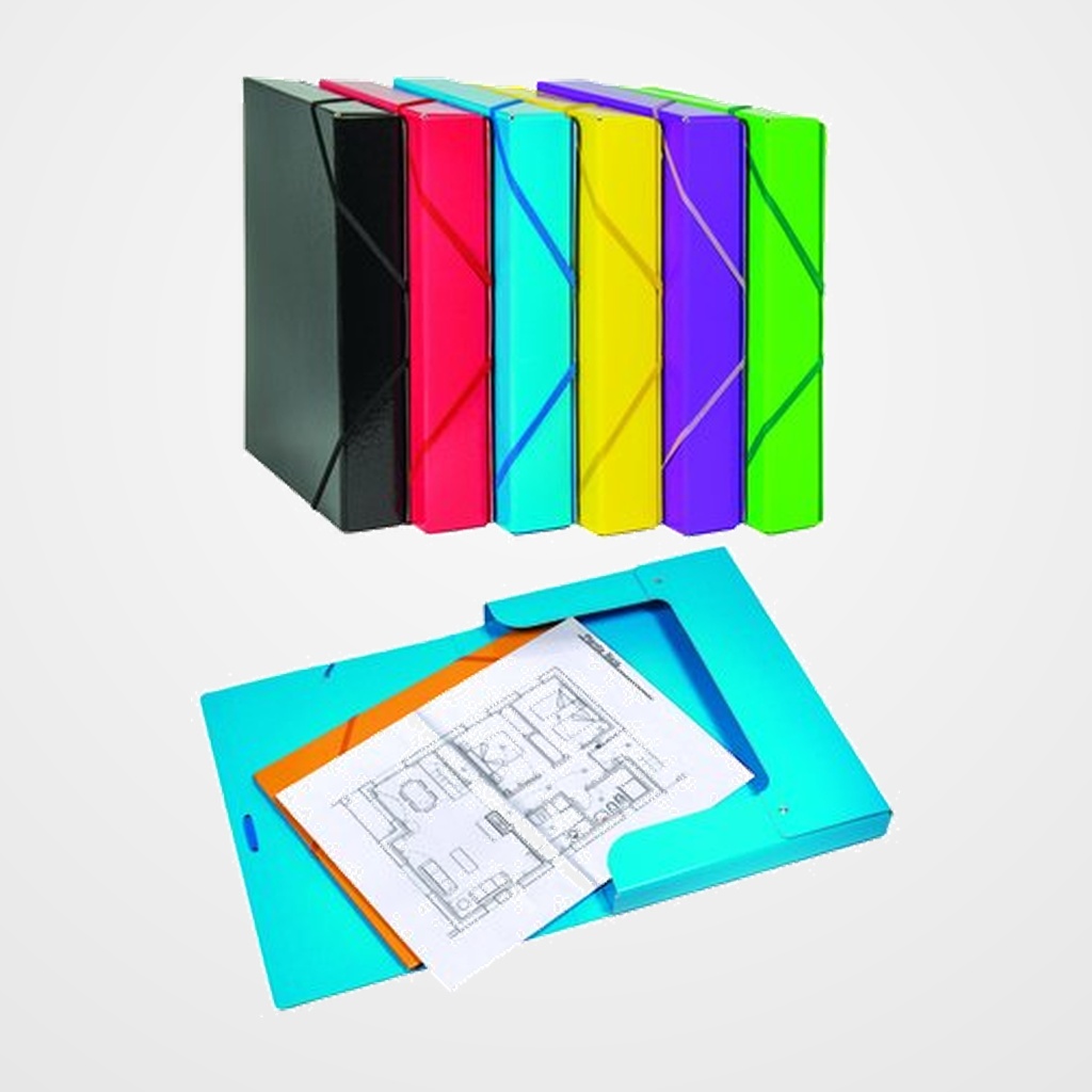 CARPETA de PROYECTOS CARCHIVO  LUZ CARTON FORRADO A4 GOMAS  5 cm SURTIDO