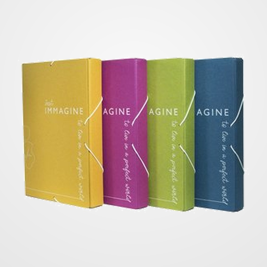 CARPETA de PROYECTOS CARCHIVO IMMAGINE CARTON RECICLADO A4 GOMAS  4 cm SURTIDO