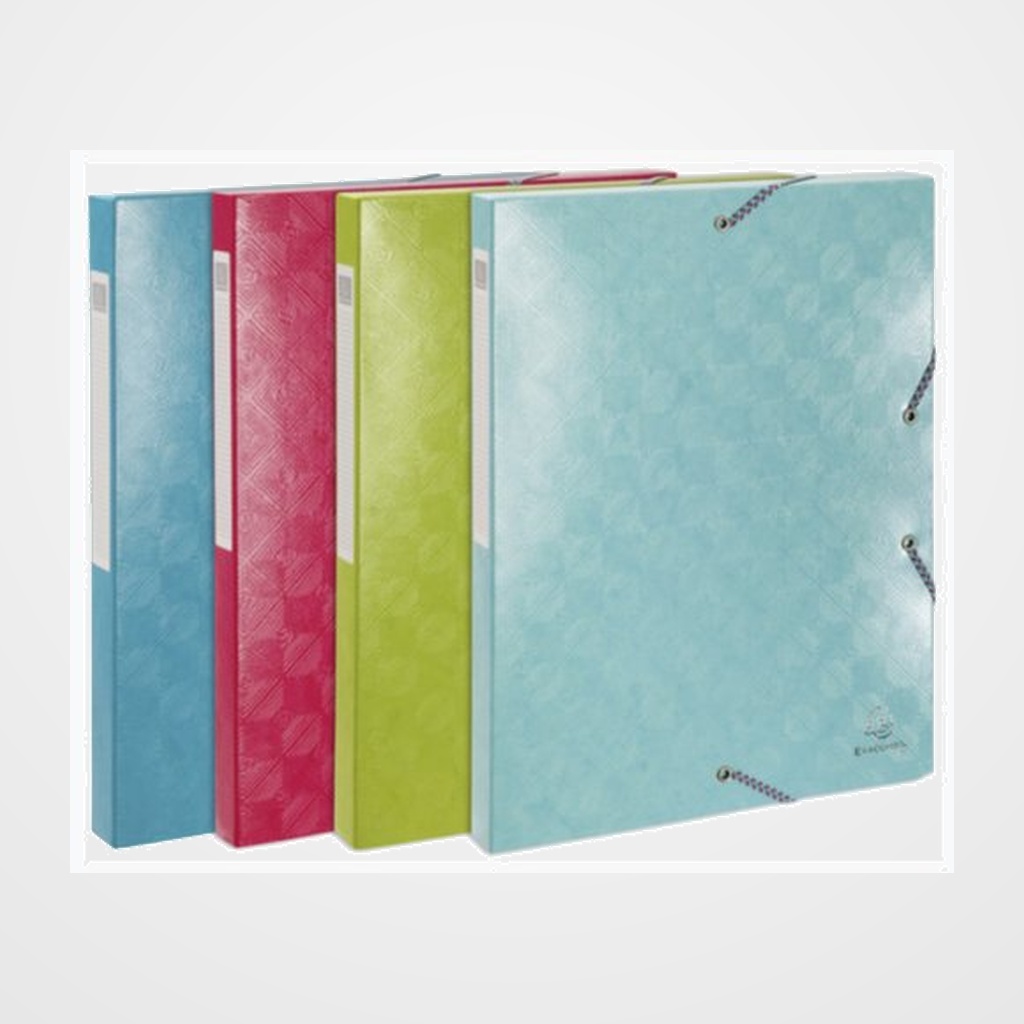 CARPETA de PROYECTOS EXACOMPTA 1928 CARTULINA LUSTRADA A4 GOMAS 2.5 cm SURTIDO (4 col.)