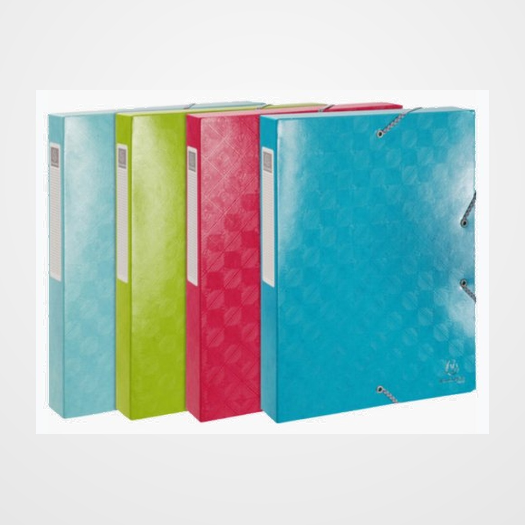 CARPETA de PROYECTOS EXACOMPTA 1928 CARTULINA LUSTRADA A4 GOMAS 4 cm SURTIDO (4 col.)