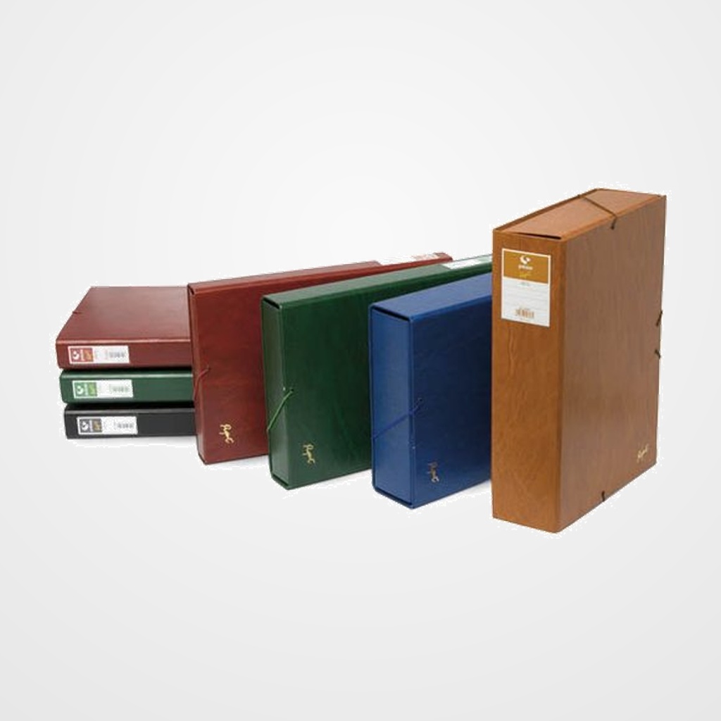 CARPETA de PROYECTOS GRAFOPLAS PROJECT CARTON FORRADO PVC Fº GOMAS 9 cm VERDE