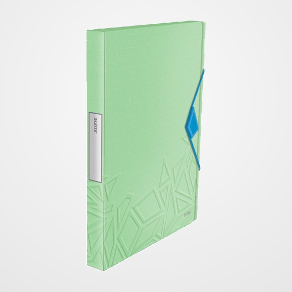 CARPETA de PROYECTOS LEITZ URBAN CHIC PP A4 GOMAS 2,5 cm VERDE