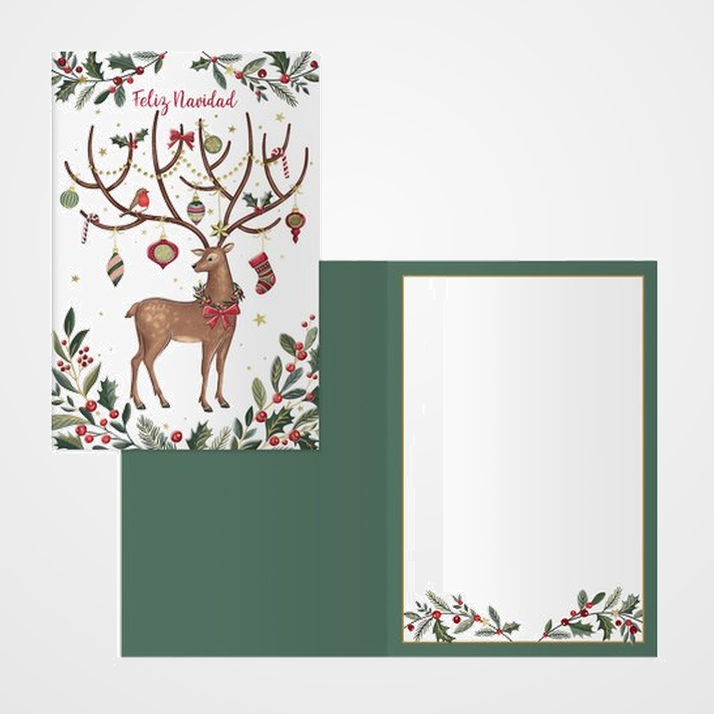 CHRISTMAS DOHE 115x170 RENO