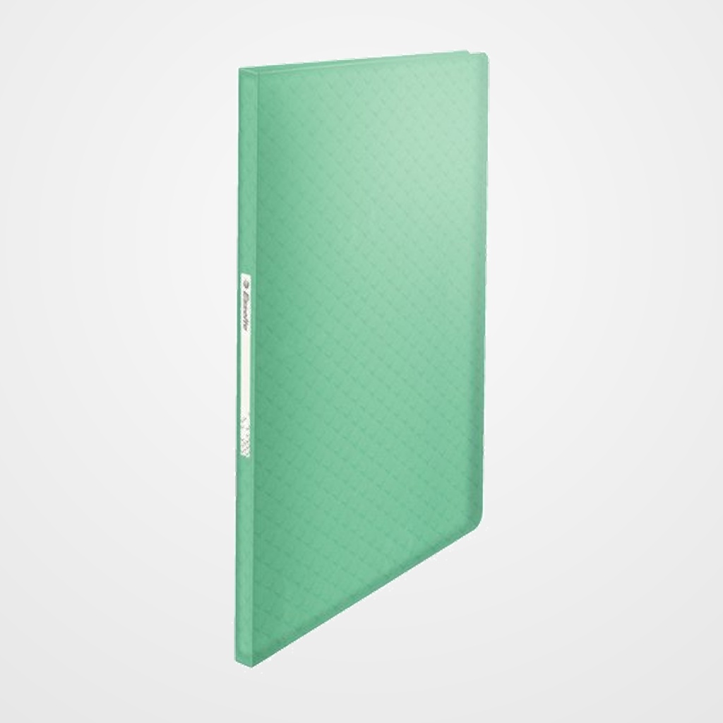 CARPETA FUNDAS (TARIFARIO) ESSELTE COLOUR BREEZE PP FLEXIBLE A4  40 F. VERDE