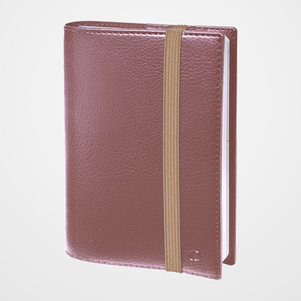AGENDA ANUAL (2027) QUO VADIS TIME&LIFE LARGE ML SOBRECUBIERTA WIRE-O tapa SIMIL PIEL CON GOMA 160x240 S/V 2 PAG. CHAMPAGNE METALIZADO