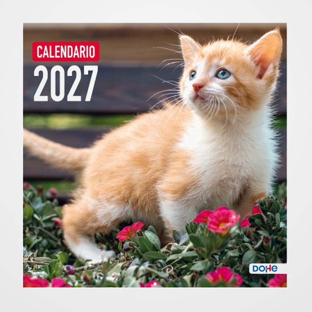 CALENDARIO (2027) DOHE PARED IMAGENES MENSUAL PARA ESCRIBIR 300x300 GATOS