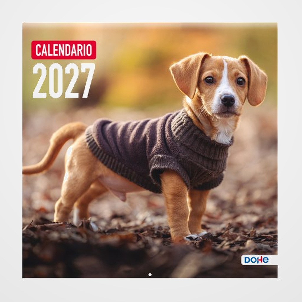 CALENDARIO (2027) DOHE PARED IMAGENES MENSUAL PARA ESCRIBIR 300x300 PERROS