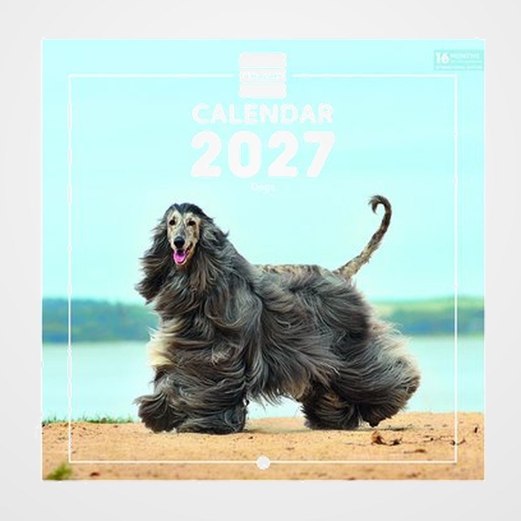 CALENDARIO (2027) FINOCAM INTERNACIONAL PARED IMAGENES MENSUAL PARA ESCRIBIR 180x180 DOGS