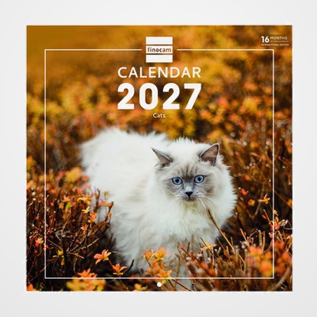 CALENDARIO (2027) FINOCAM INTERNACIONAL PARED IMAGENES MENSUAL PARA ESCRIBIR 300x300 CATS