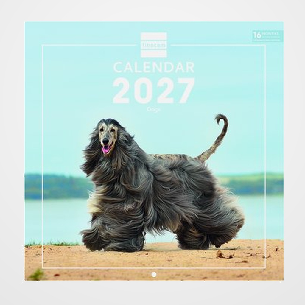 CALENDARIO (2027) FINOCAM INTERNACIONAL PARED IMAGENES MENSUAL PARA ESCRIBIR 300x300 DOGS