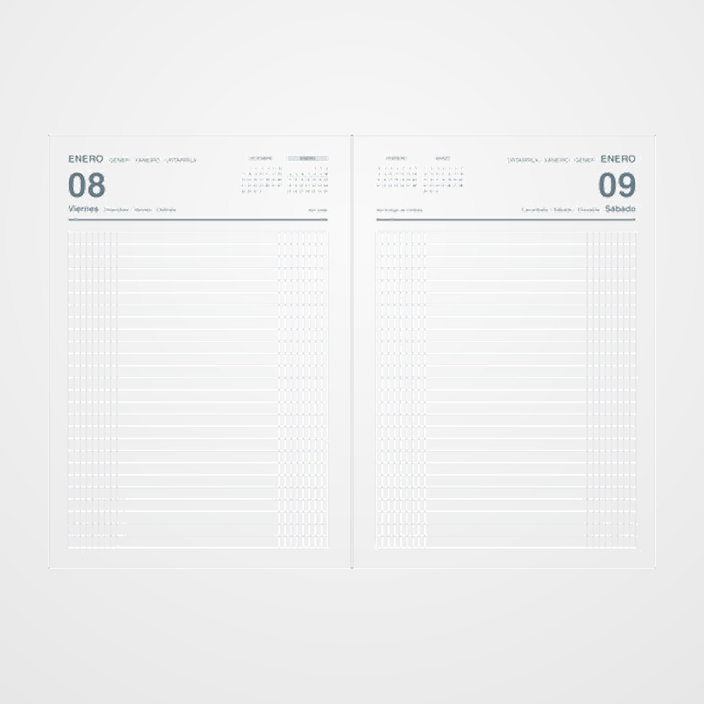 DIETARIO (2027) DOHE ANUAL 150x210 - 4º