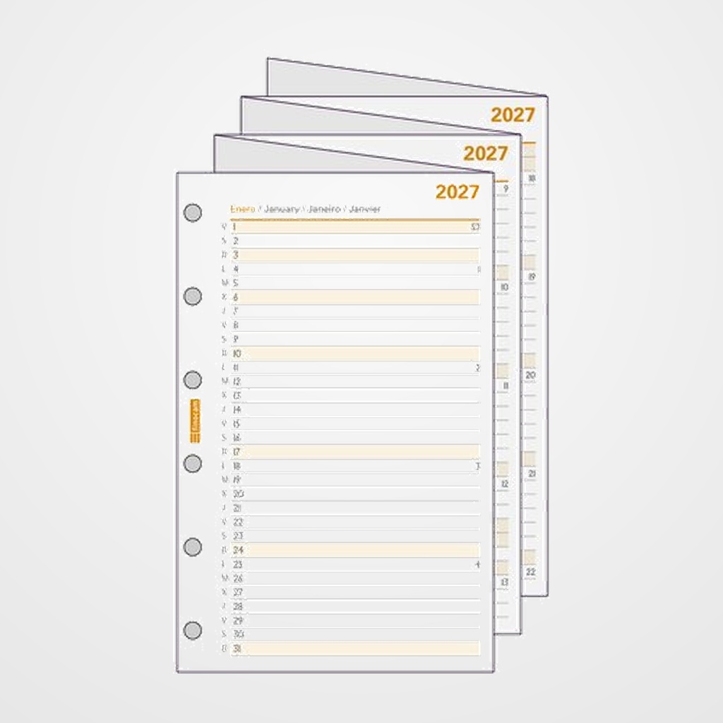 RECAMBIO AGENDA ANUAL (2027) FINOCAM C296 CLASSIC 602 73x114 PLANIFICADOR DESPLEGABLE ANUALIDAD