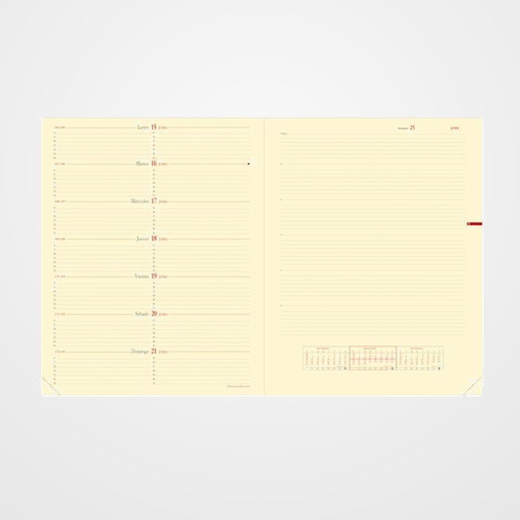 RECAMBIO AGENDA ANUAL (2027) QUO VADIS NOTE 27 SP 270x210 S/V CON NOTAS
