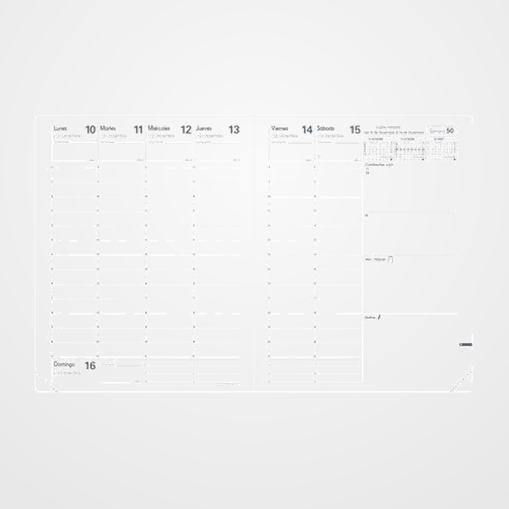 RECAMBIO AGENDA ANUAL (2027) QUO VADIS PRESIDENT SP 210x270 S/V 2 PAG.