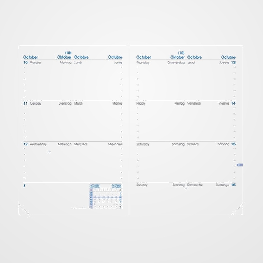 RECAMBIO AGENDA ANUAL (2027) QUO VADIS SAPA X ML 100x150 S/V 2 PAG.