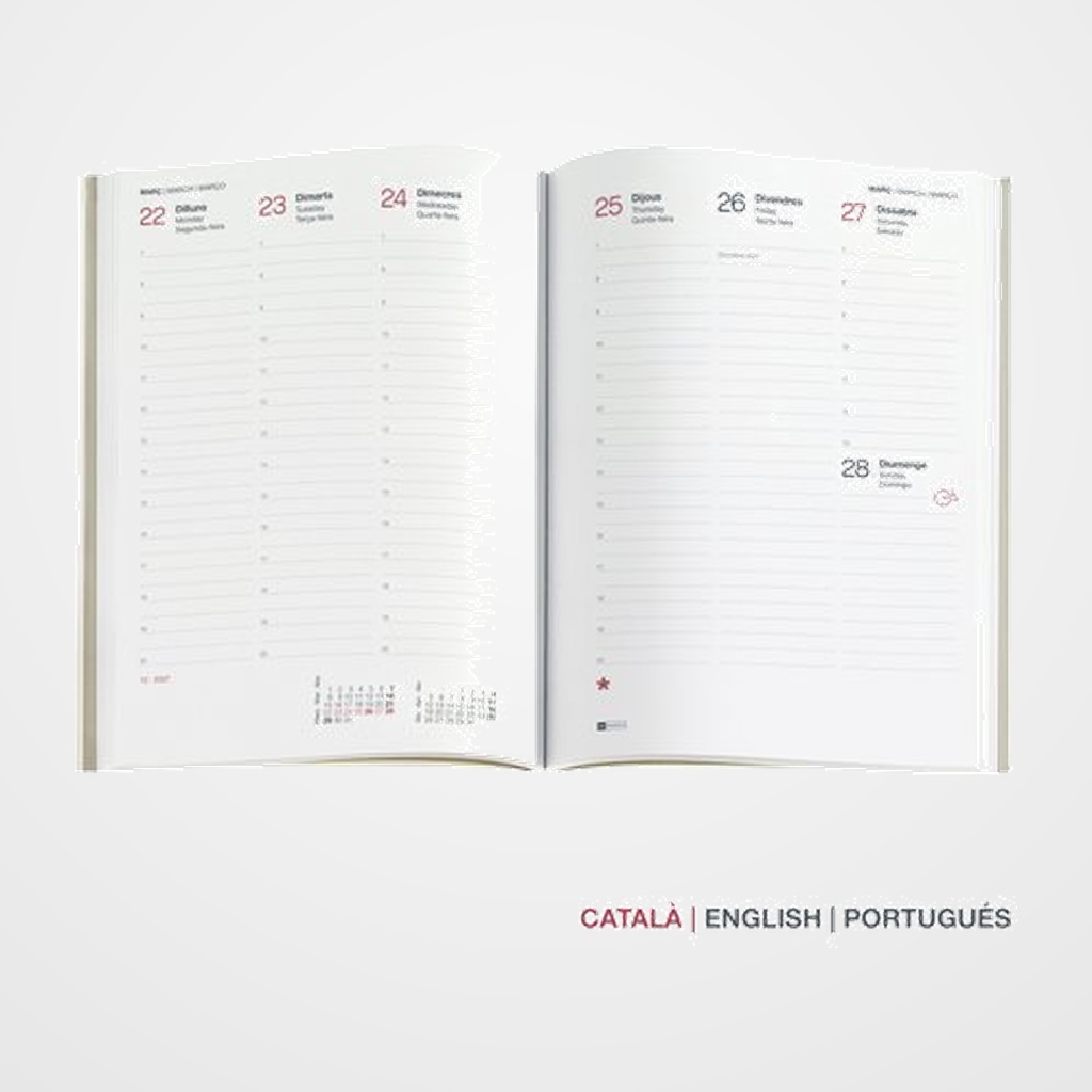 RECAMBIO CATALAN AGENDA ANUAL (2027) MIQUELRIUS CLASSIC PLUS 213x155 S/V APAIS.