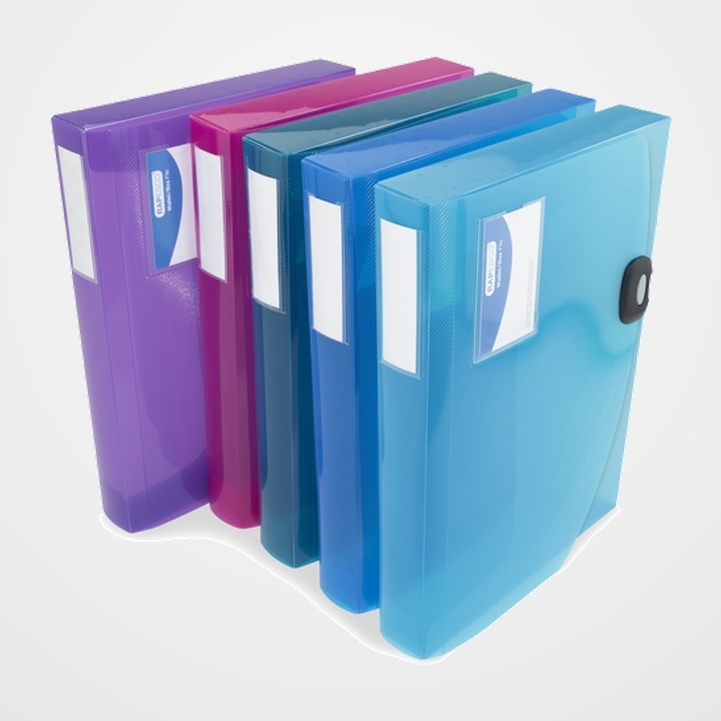 CARPETA de PROYECTOS RAPESCO PP TRANSUCIDO A4 BROCHE SURTIDO PACK de 5
