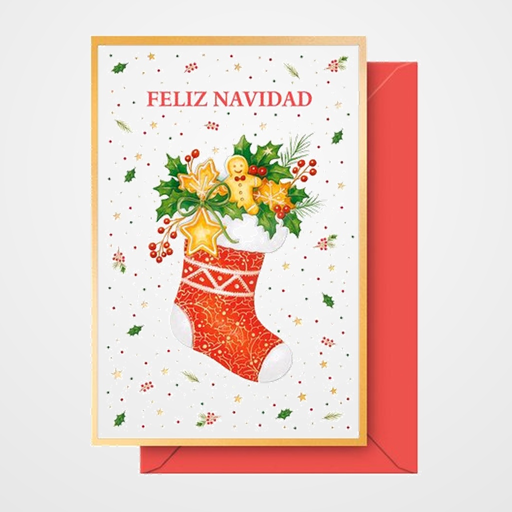 CHRISTMAS DOHE 115x170 CALCETIN