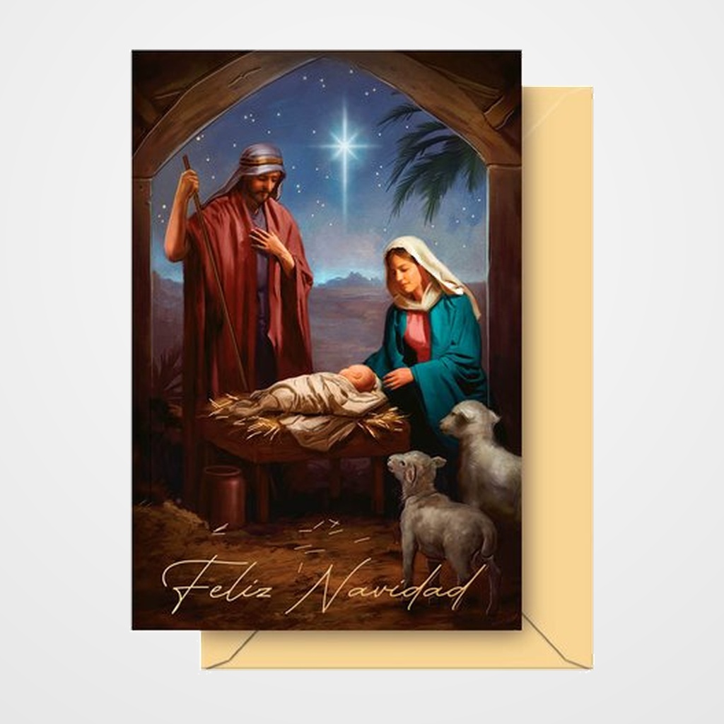 CHRISTMAS DOHE 115x170 MISTERIO