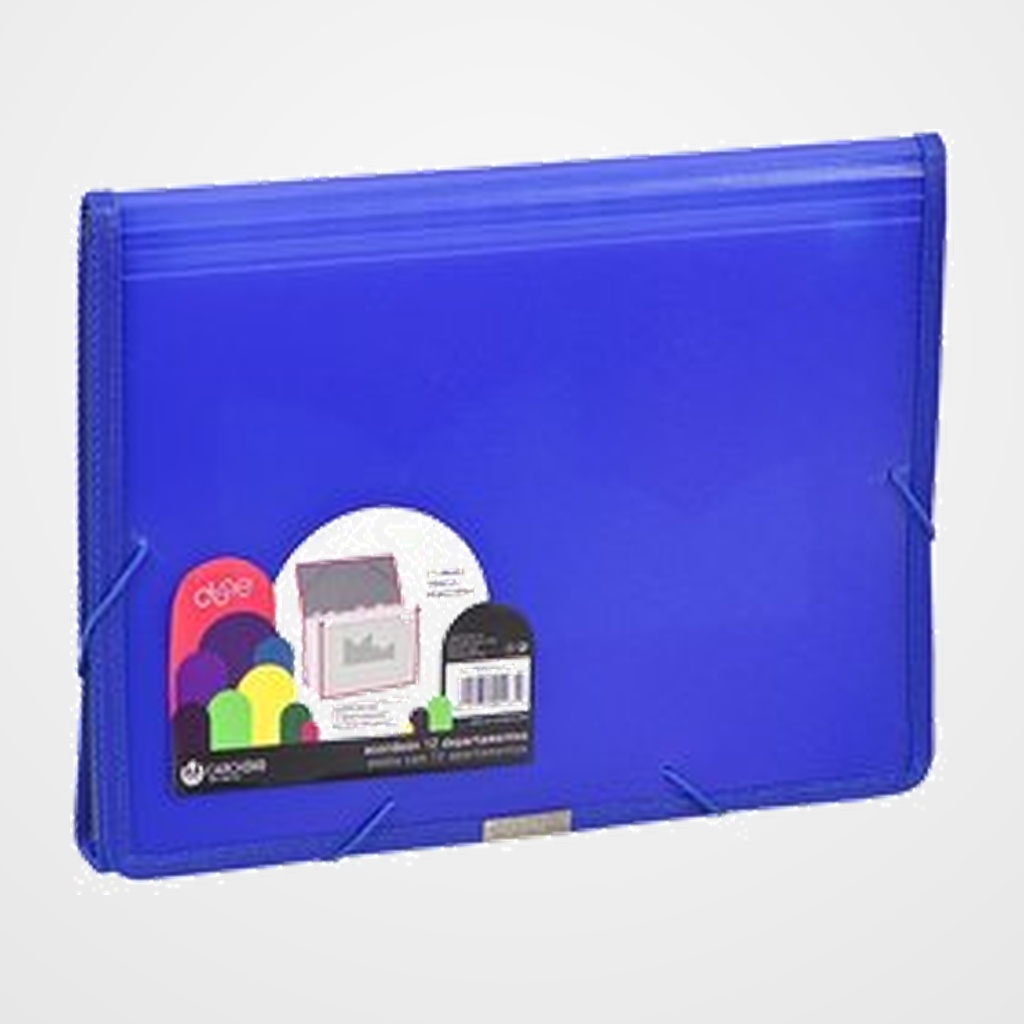 CLASIFICADOR ACORDEON CARCHIVO DUNE PP Fº 13 DPTOS.GOMAS AZUL