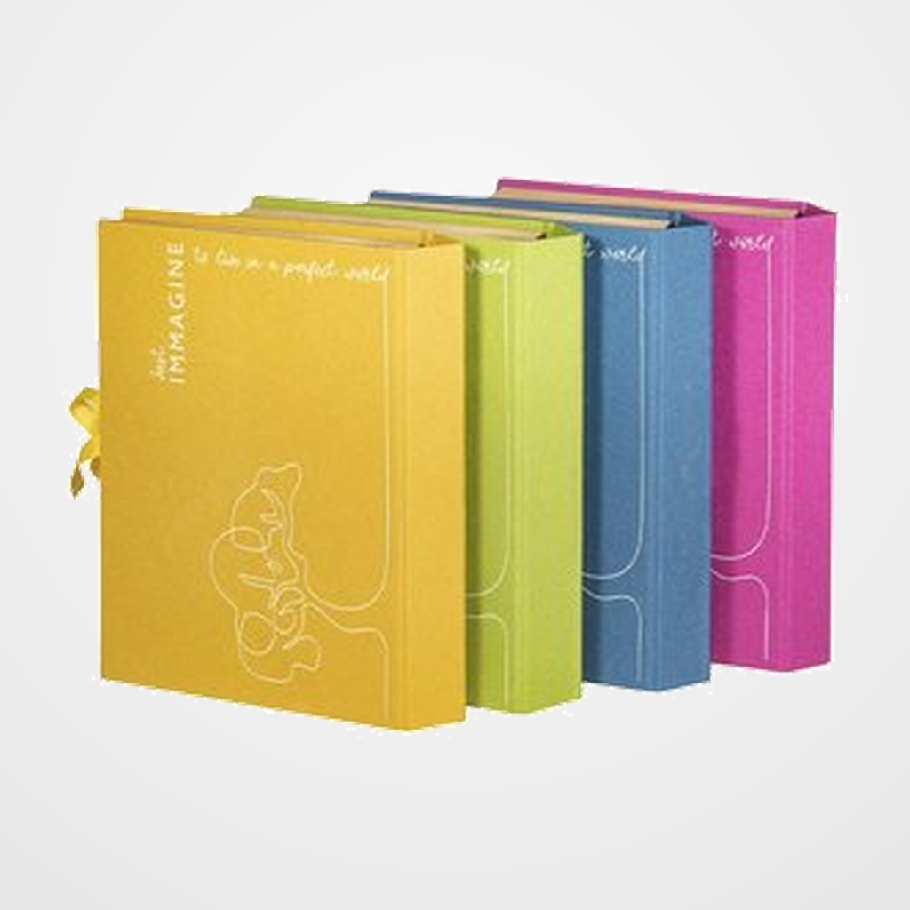 CLASIFICADOR ACORDEON CARCHIVO IMMAGINE CARTON RECICLADO Fº 17 DPTOS.(A-Z) SURTIDO