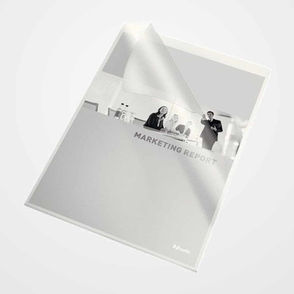 DOSIER ANGULO RECTO ESSELTE PP 80µ A4 PIEL NARANJA TRANSPARENTE PAQUETE de 100