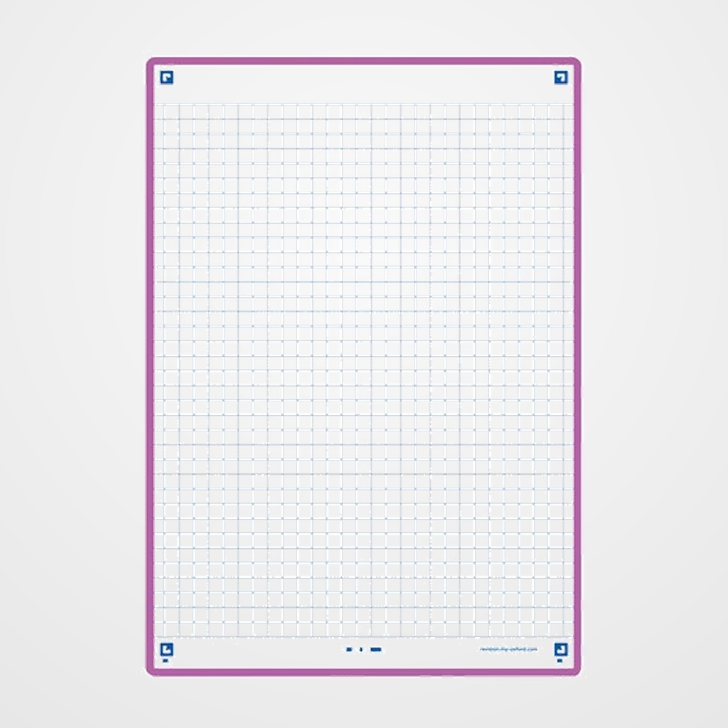 FICHAS OXFORD REVISION 2.0 COLOR CUADRIC.5x5 210x148mm (A5) LILA paquete de 30