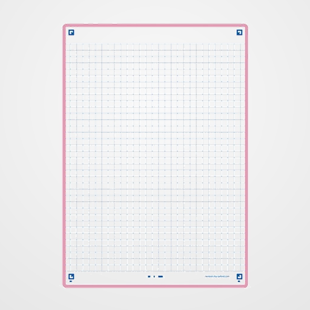 FICHAS OXFORD REVISION 2.0 COLOR CUADRIC.5x5 210x148mm (A5) ROSA paquete de 30