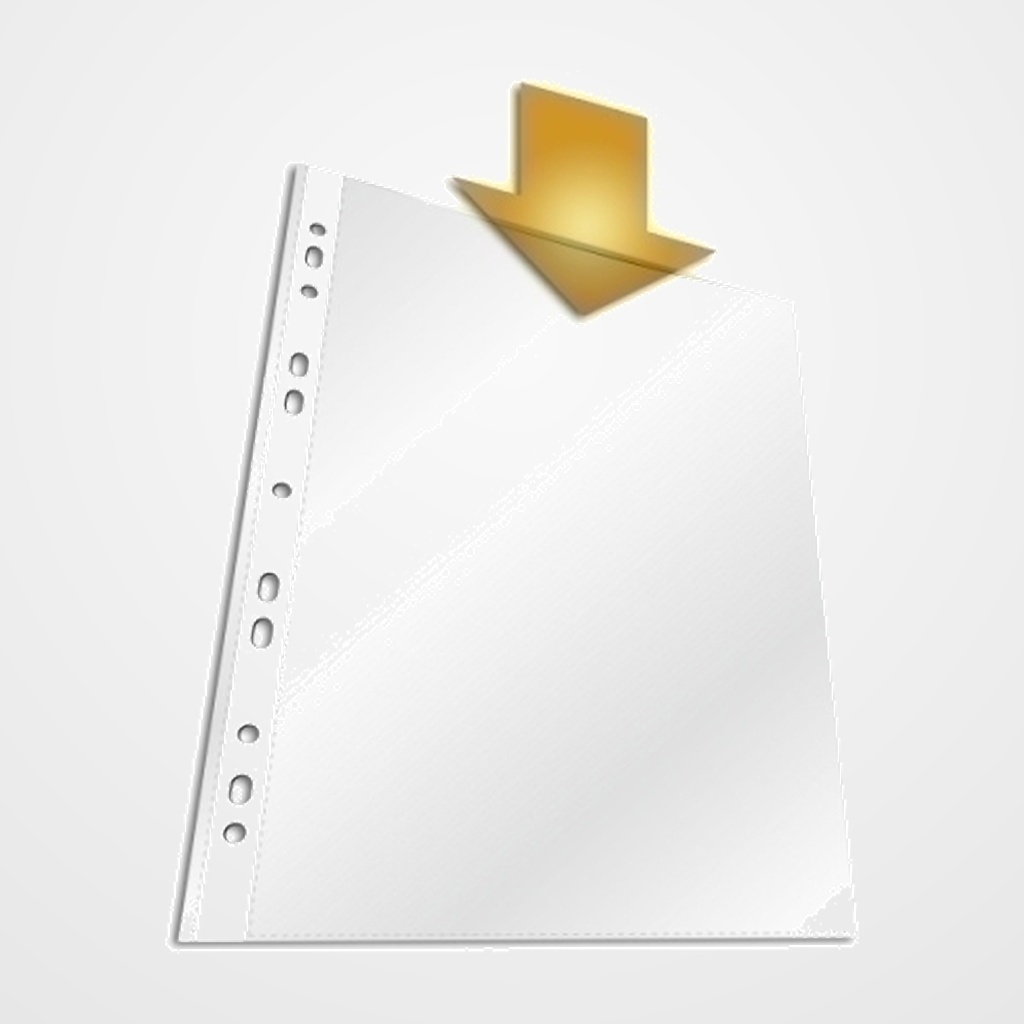 FUNDA MULTITALADRO DURABLE STANDARD PP A4 BOLSA de 100