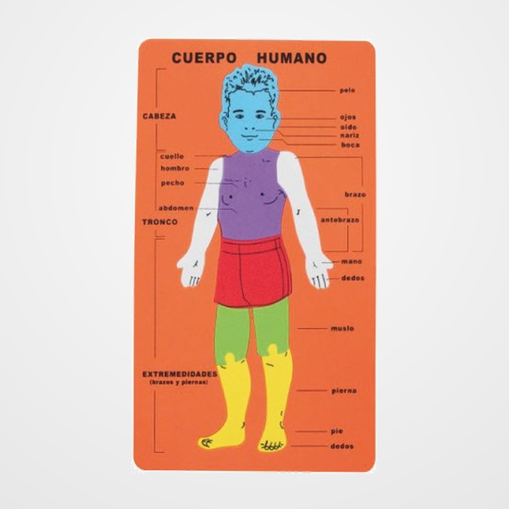 GOMA EVA FIXO KIDS PUZLE 20x32 cm. CUERPO HUMANO