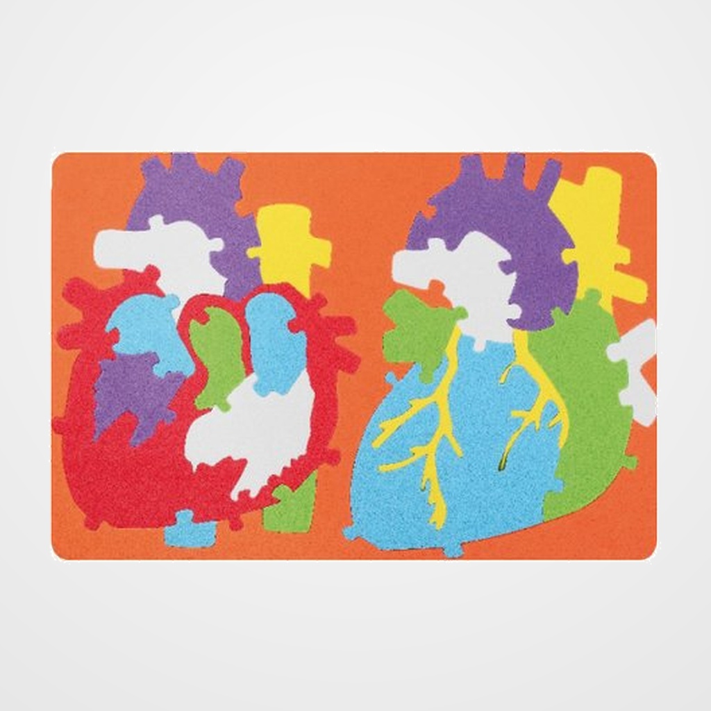 GOMA EVA FIXO KIDS PUZLE 23x32 cm. SISTEMA CARDIACO