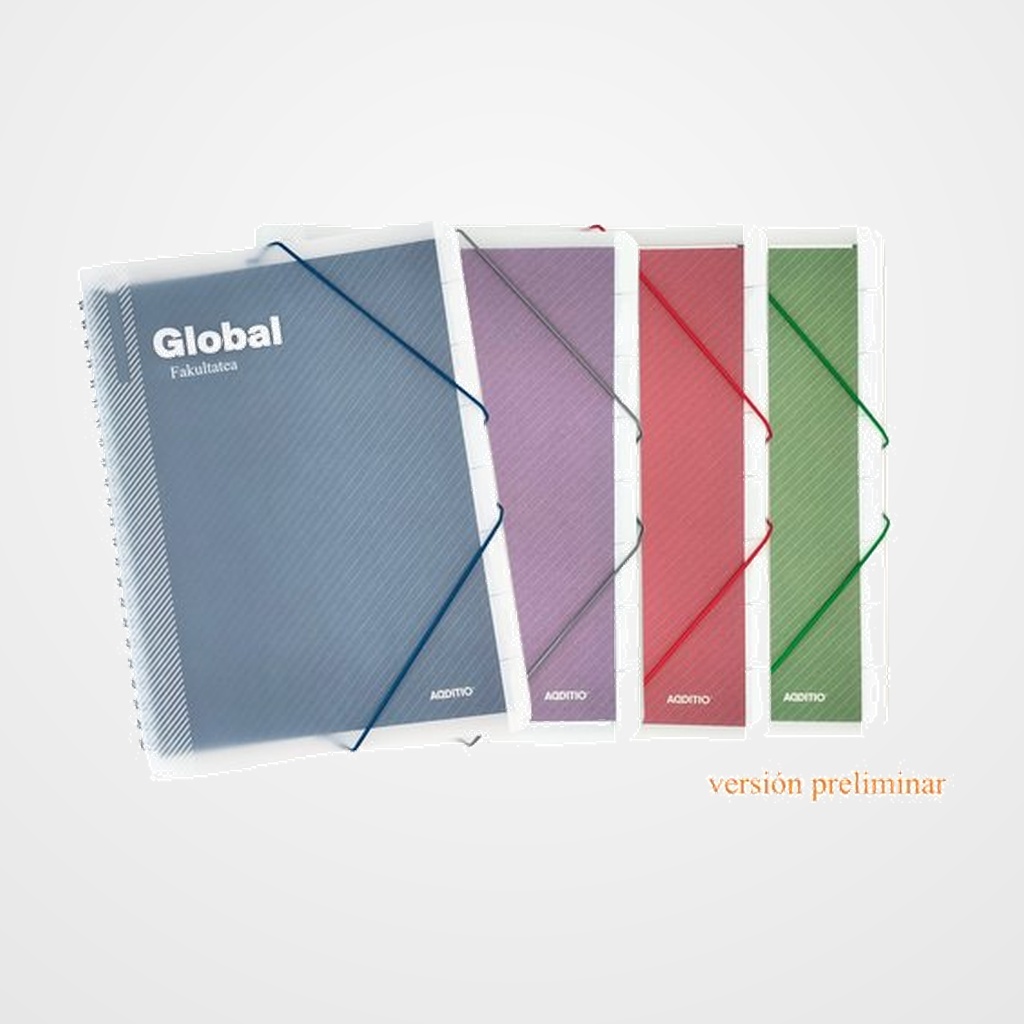 KOADERNOA IRAKASLE ADDITIO CARPETA GLOBAL 240x320 ASKOTASUNA