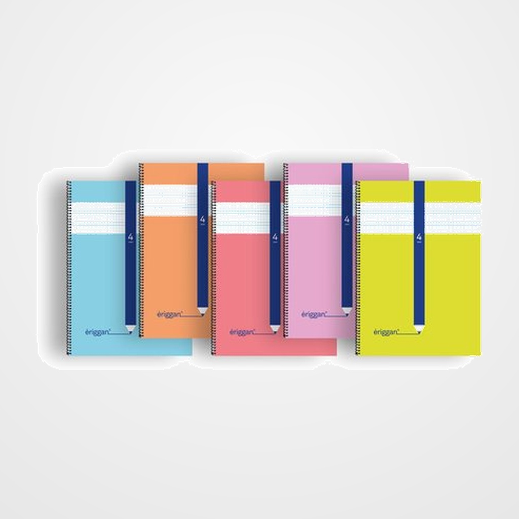 LAMELA BLOC ERIGGAN tapa BLANDA Fº 80h 70g CUADROVIA 4 mm (5 col.surt.)