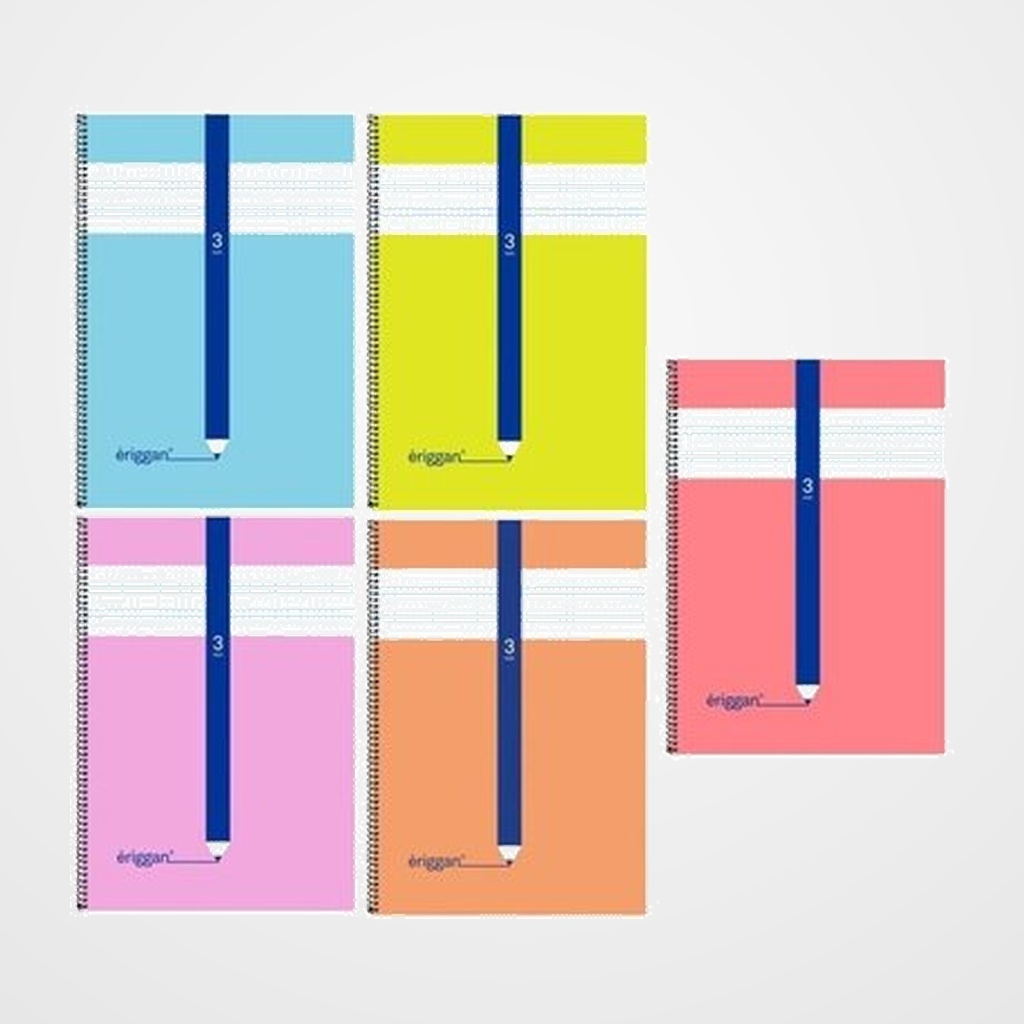 LAMELA BLOC ERIGGAN tapa BLANDA 4º 40h 70g CUADROVIA 3 mm (5 col.surt.)