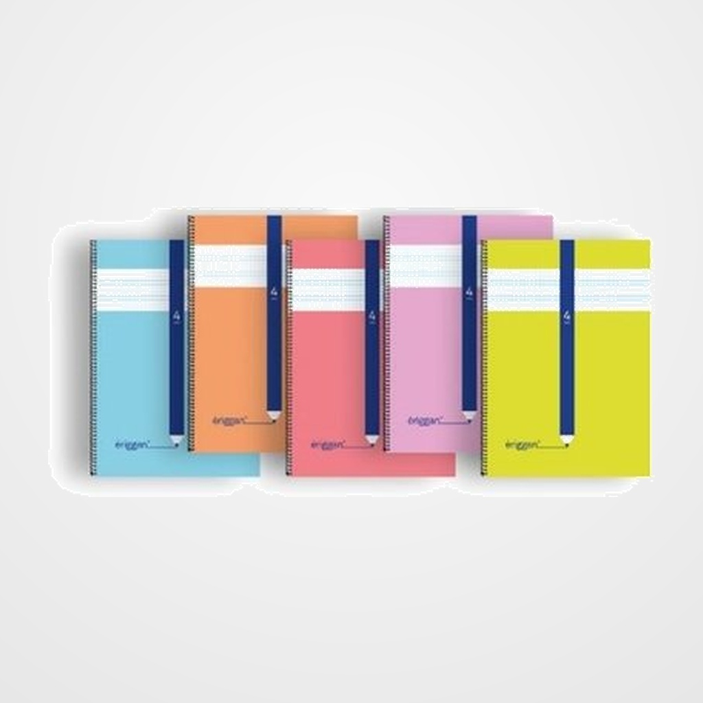 LAMELA BLOC ERIGGAN tapa BLANDA 4º 40h 70g CUADROVIA 4 mm (5 col.surt.)