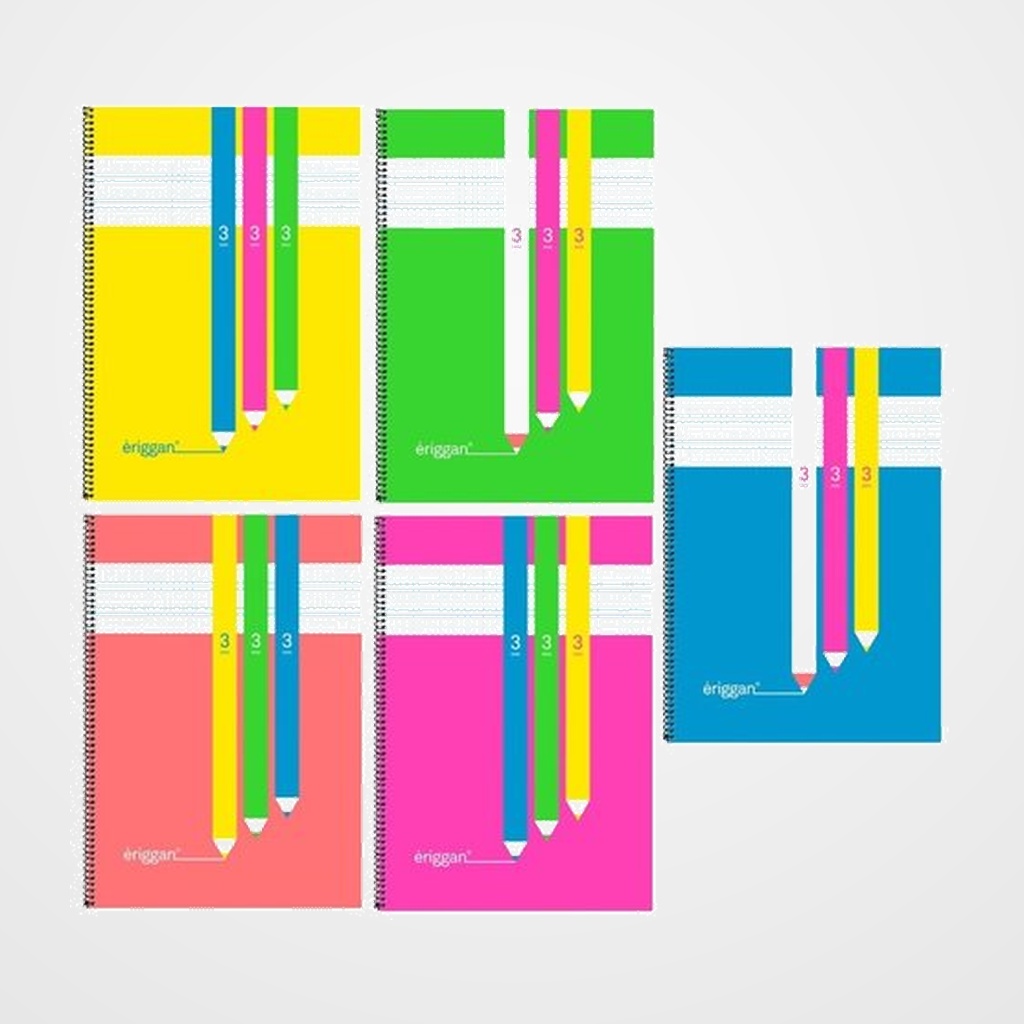 LAMELA BLOC ERIGGAN tapa POLIPROPILENO Fº 80h 90g CUADROVIA 3 mm (5 col.surt.)