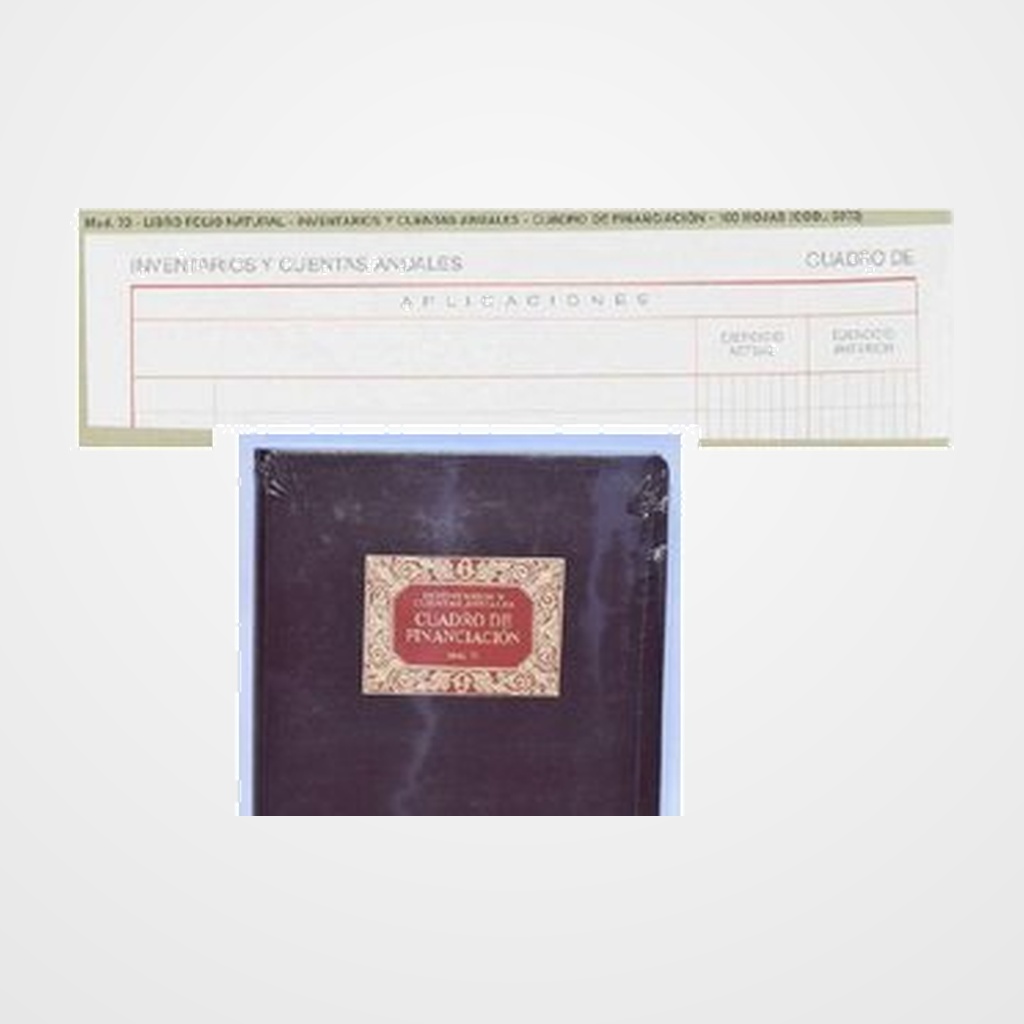 LIBRO CONTABILIDAD Fº-73-CUADRO FINANCIACION