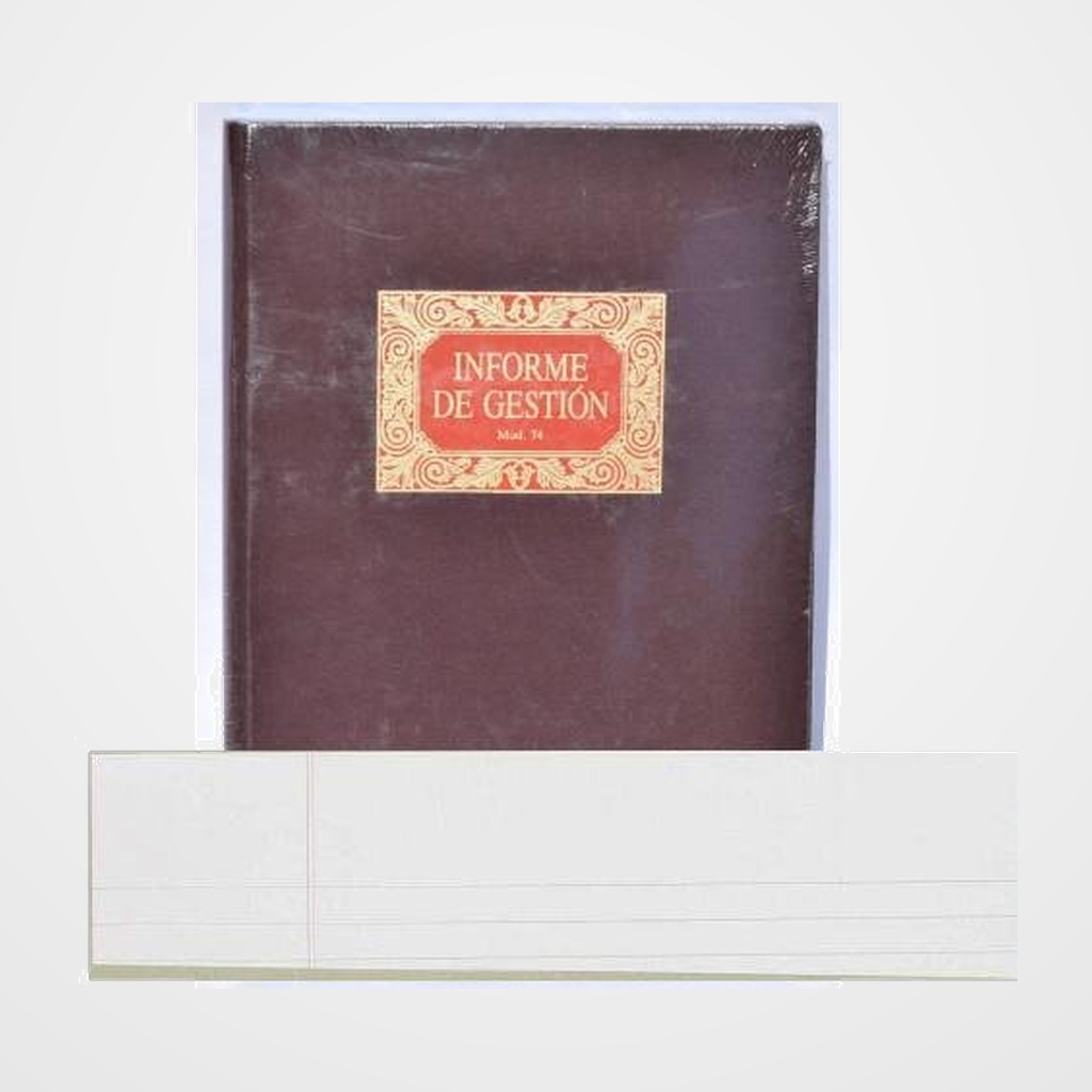 LIBRO CONTABILIDAD Fº-74-INFORME DE GESTION