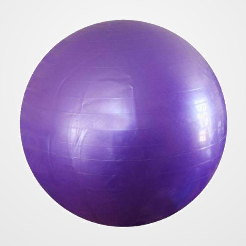 PELOTA GIGANTE 65 cm