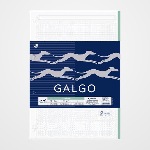 RECAMBIO GALGO A4 100h 100gr 4 TALADROS CUADRIC.5x5 C/MARGEN (5 colores en banda)