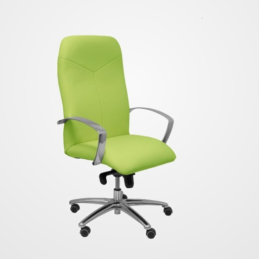 SILLA PIQUERAS Y CRESPO CAUDETE DIRECCION BRAZOS FIJOS MECANISMO BASCULANTE REGULABLE EN ALTURA ASIENTO Y RESPALDO TAPIZADO SIMILPIEL PISTACHO