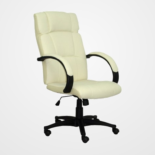 SILLA PIQUERAS Y CRESPO MUNERA DIRECCION BRAZOS FIJOS MECANISMO BASCULANTE REGULABLE EN ALTURA ASIENTO Y RESPALDO TAPIZADO SIMILPIEL CREMA