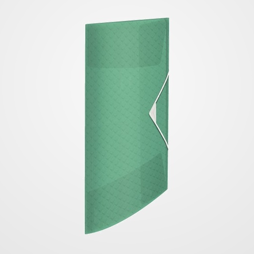 CARPETA de GOMAS y SOLAPAS ESSELTE COLOUR BREEZE PP A4 VERDE