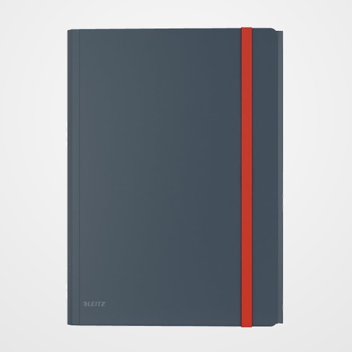 CARPETA de GOMAS y SOLAPAS LEITZ COSY PP A4 GRIS