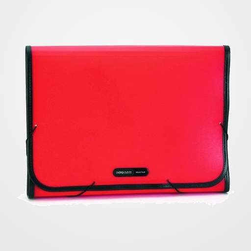 CLASIFICADOR ACORDEON DATABANK PP OPACO A4 12 DPTOS.RIBETE y GOMAS ROJO