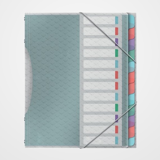 CARPETA CLASIFICADORA ESSELTE COLOUR BREEZE A4 PP 12 SEPARAD.con GOMA SURTIDO