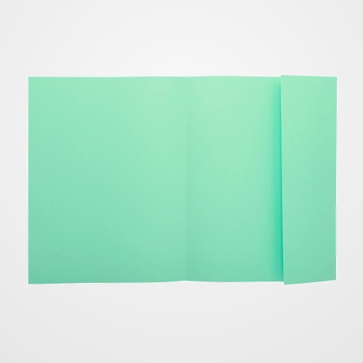 SUBCARPETA EXACOMPTA SUPER 160 1 SOLAPA 160g A4 VERDE CLARO PAQUETE de 100
