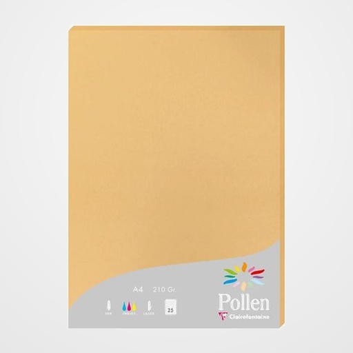 PAPEL CLAIREFONTAINE POLLEN A4 210g 25h CARAMELO